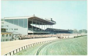 Baltimore MD Pimlico Race Course Horse Racing 1950s-1960s Postcard