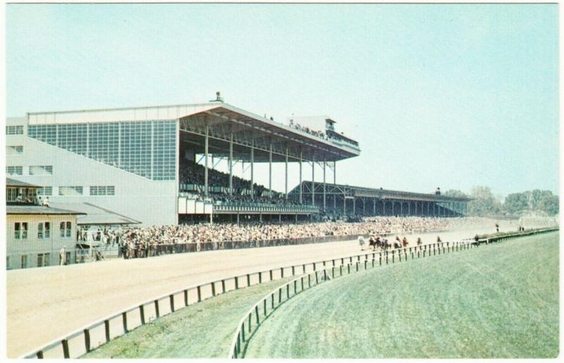 Baltimore MD Pimlico Race Course Horse Racing 1950s-1960s Postcard