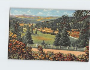 Postcard Taos Canyon From Palo Flechado Pass, New Mexico