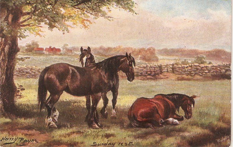 Harry Payne. Horses. Sunday Rest Tuck Oilette Doset Farms Ser. PC # 9277