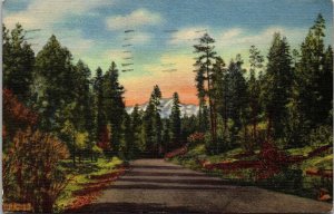 Scenic Highway Mescalero Apache Indian Reservation Roswell NM Postcard PC3