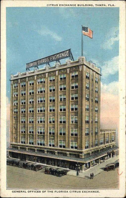 Tampa Florida FL Street Scene Office Building 1910s-30s Postcard