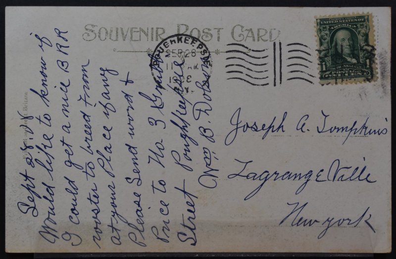 Poughkeepsie, NY - Vassar College - Thompson Memorial Library - 1908