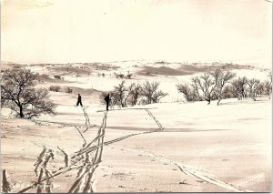 VINTAGE CONTINENTAL SIZE POSTCARD LONG DISTANCE SKIING IN SWEDEN 1960