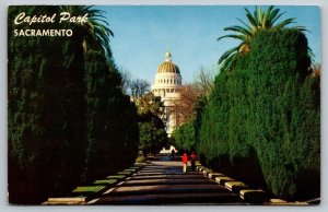 Sacramento, California Postcard - Capitol Park