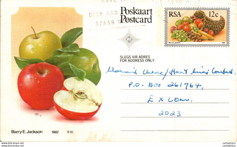 RSA South Africa Postal Stationery Apple to Excom