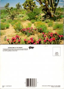 Springtime in the Desert (12005)