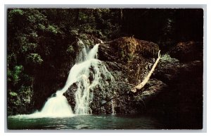 Vintage Postcard OR Twin Falls Silver Falls State Park Silverton Oregon