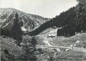 Postcard Poland Western Tatras Hala Kondratowa