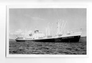 cb0826 - Norwegian Saguenay Cargo Ship - Sunpolynesia , built 1957 - postcard
