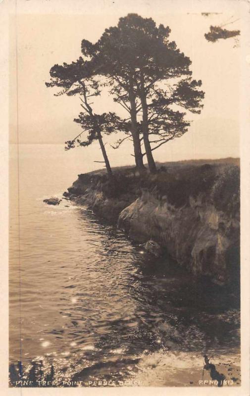 Pebble Beach California Vine Tree Point Real Photo Antique Postcard J71445