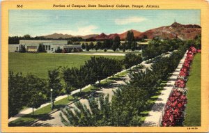 Postcard AZ Tempe Portion of Campus State Teachers College Curt Teich 1944 V208