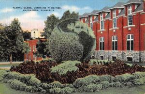 Wadsworth Kansas Veterans Facilities Floral Globe Antique Postcard K101116