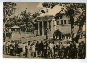 236967 USSR RUSSIA Moscow ZOO elephant slide Vintage postcard