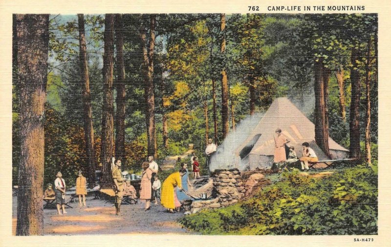 2~Postcards  FAMILY CAMP LIFE & MOUNTAINEER & FAMILY Home~Cabin ca1940's Linens