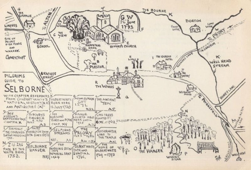 Pilgrims Guide To Selborne Society Hampshire Old Map Postcard