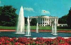 Vintage Postcard The White House Oldest Public Structure Virginia President Home