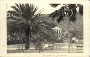 St. Thomas VI Virgin Islands City Park c1930 Real Photo Postcard