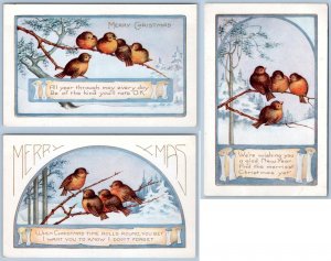 1920's ERA SET/3 WHITNEY MADE CHRISTMAS POSTCARDS FEATURING BIRDS ON A BRANCH