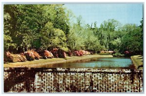 View Of Middleton Gardens Reflection Pool Landscaped Charleston SC Postcard