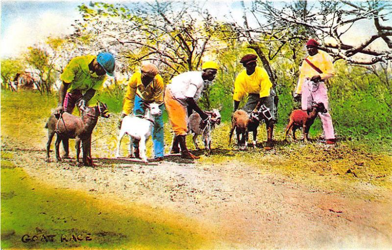 Tobago Buccoo Goat Race Jockey's  Postcard