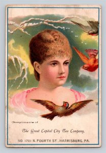 The Great Capital City Tea Company Woman Bird Harrisburg PA Victorian Trade Card