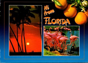 Greetings Hi From Florida With Flamingos Oranges and Sunset 1989