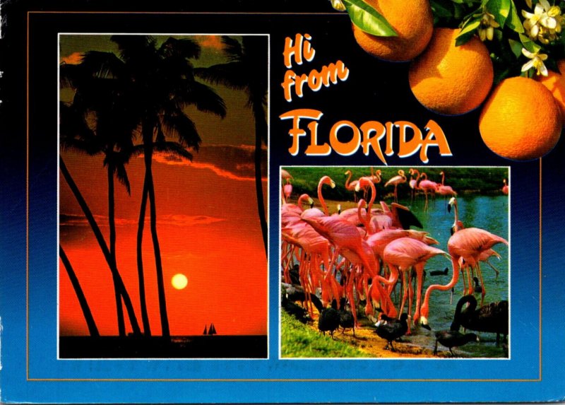 Greetings Hi From Florida With Flamingos Oranges and Sunset 1989