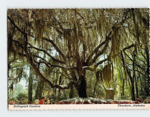 Postcard Bellingrath Gardens, Theodore, Alabama