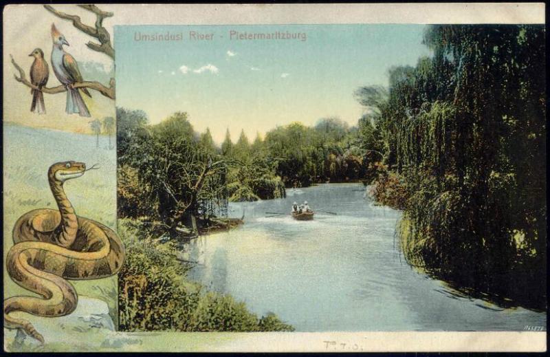 south africa, PIETERMARITZBURG, Umsindusi River, Snake (1909)