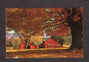 NY Greetings From Pine Plains New York Scenic Farm Postcard