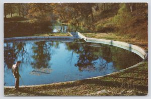 State View~Blue Springs @ Eureka Springs Arkansas Ozarks~Vintage Postcard