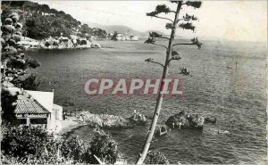 Postcard Modern Cap Brun Toulon (Var) View Cap Brun Bar Restaurant