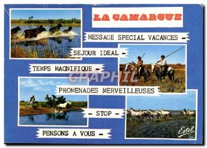 Postcard Modern Camargue Bulls Passage Gardians Continued Herd