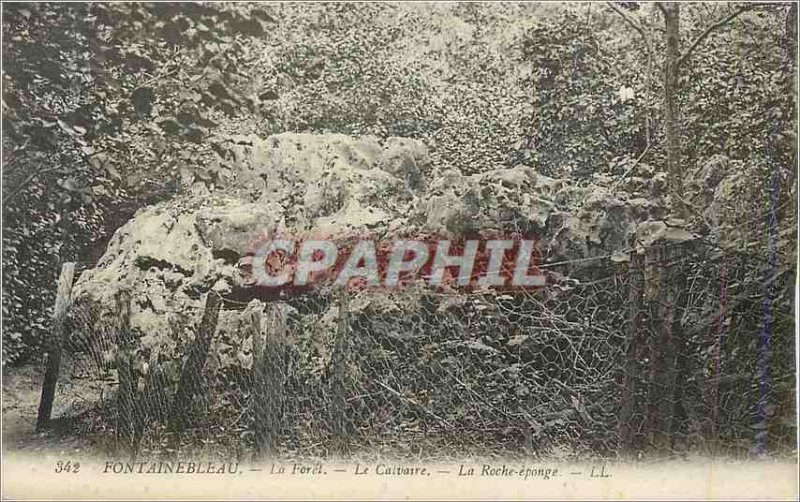 Old Postcard Fontainebleau Forest Calvary Roche Sponge