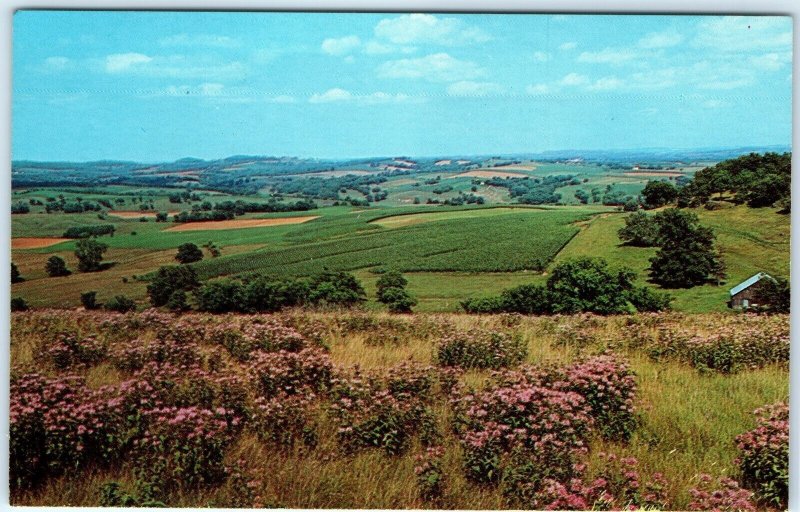 c1960s Highway 20 Illinois Scenic Outlook Elizabeth & Galena Photo Postcard A68