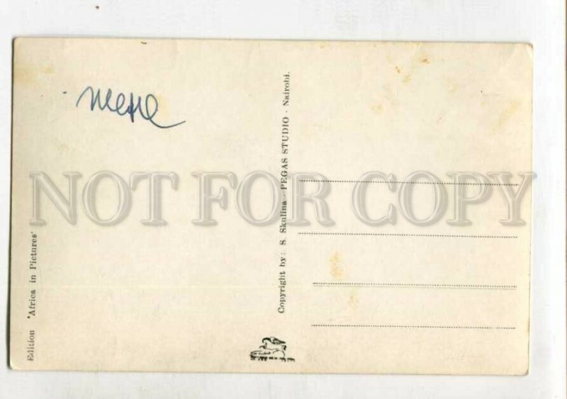 3147509 UGANDA CONGO Nude Pigmies Vintage photo postcard