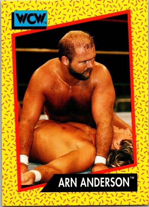 1991 WCW Wrestling Card Arn Anderson sk21231