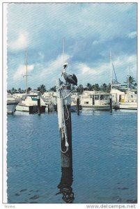 Yachts Basins Along The Inland Waterway, Myrtle Beach, South Carolina, 1950-1...