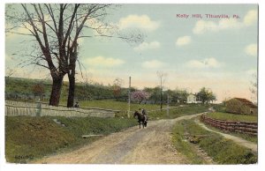 Kelly Hill, Titusville, Pennsylvania Unused, Divided Back Postcard, Horse