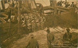 Salmon Fishing Puget Sound Washington #1428 Mitchell 1912 Postcard 20-7523