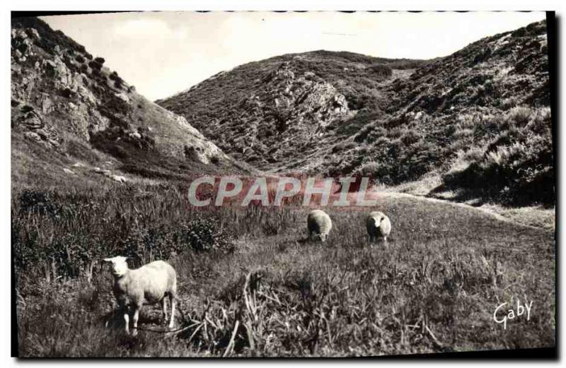 Postcard Modern Carolles Edenville La Valle Lude