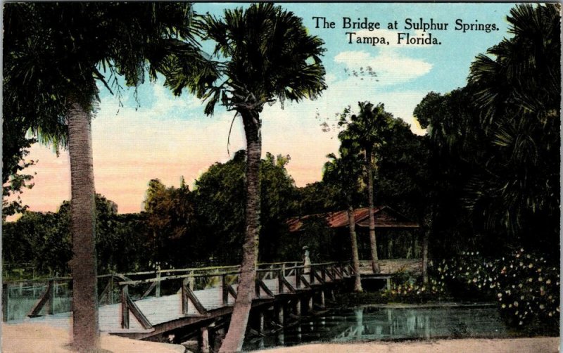 Vtg 1914 Bridge at Sulphur Springs Tampa Florida FL Antique Postcard