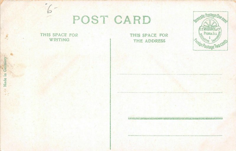 J11/ Fort Smith Arkansas Postcard c1910 Auditorium Electric Park 10