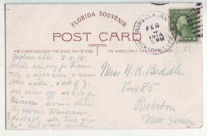 P1126 1914 used souvenir postcard ostrich family at farm jacksonville florida