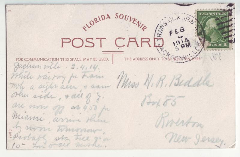 P1126 1914 used souvenir postcard ostrich family at farm jacksonville florida