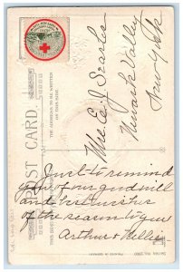 c1910's Christmas Holly Berries Windmill Pansies Flowers Gel Gold Gilt Postcard