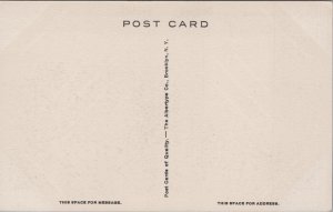 Petrified Forest Arizona Vintage Postcard C215