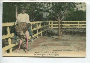 438780 France Nice rider on the Ostrich medalist Vintage postcard