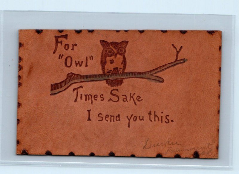 FAIRMOUNT, ND North Dakota ~Greeting~ For OWL TIMES SAKE 1906 LEATHER Postcard